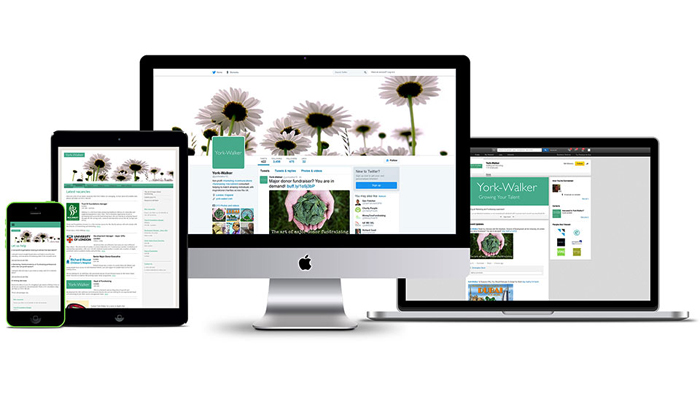 thiết kế web chuẩn SEO sáng tạo